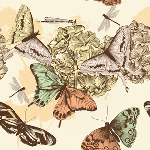 复古风蝴蝶花卉图案插画