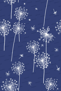 蓝色背景上的白色蒲公英