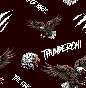 鹰主题图案设计元素