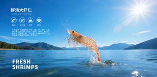鲜活淡水虾小龙虾
