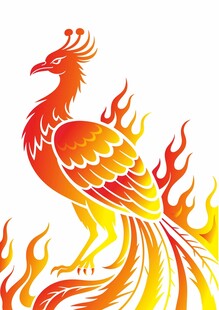 凤凰插画