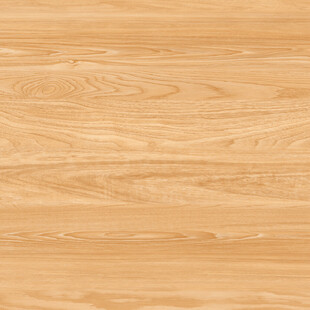 客厅 简奢最新木纹 清晰新图 