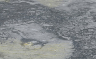 客厅 新传高雅石纹 高档大图 