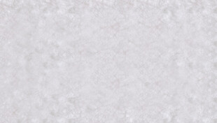 杜邦纸纹理贴图