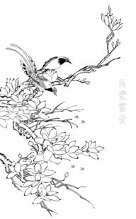 花鸟白描写意线条图