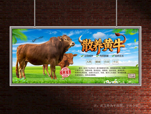 散养黄牛展板