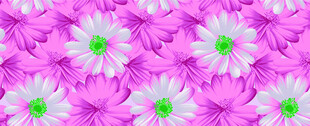 粉色雏菊图案背景