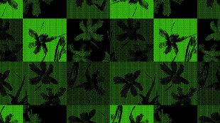 绿色迷彩图案纹理背景