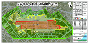 机场鸟类分布图模版