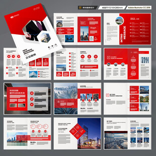 大气红色画册