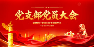党支部党员大会