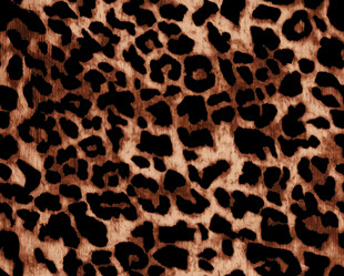 豹纹花纹图案