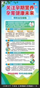 预防出生缺陷展架