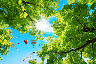 蓝天白云仰望天空