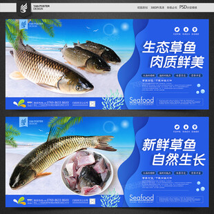 草鱼