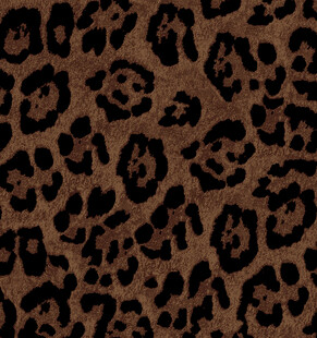 豹纹图案