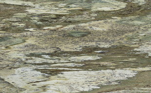 高端 新款质感石纹 高档大图 