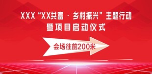 光伏发电 乡村振兴行动启动仪式