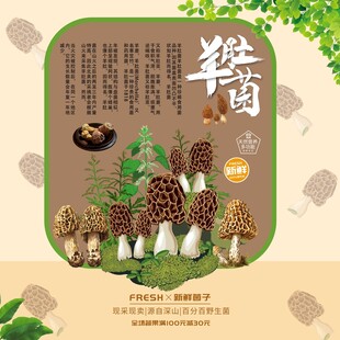 羊肚菌宣传图