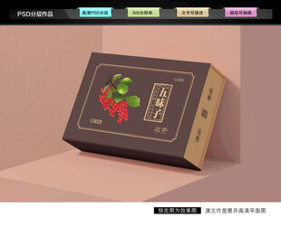 五味子礼盒 药材包装