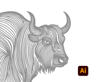 线条勾勒的牦牛形象