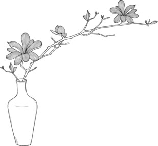 花瓶中绽放的花枝线条画 矢量图