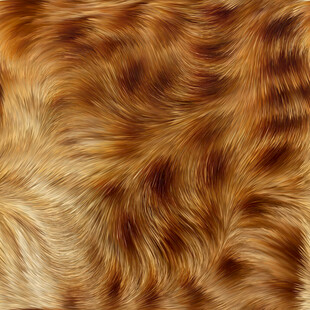 金色动物毛发纹理特写