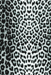 黑白豹纹图案布料纹理