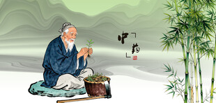 中医文化中医药文化