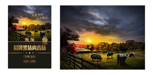 土猪黑猪包装图