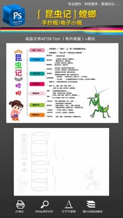 昆虫记思维导图螳螂观察小报