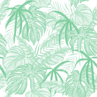 清新绿植龟背竹图案印花背景