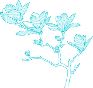 手绘玉兰花枝线条图 矢量图