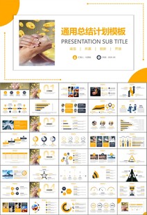 金融监督管理局总结计划ppt