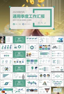 金融监督管理局总结计划ppt