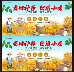 小麦展板