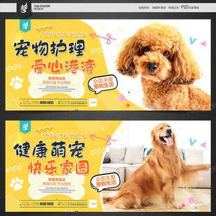 宠物海报