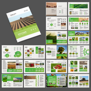农产品宣传册