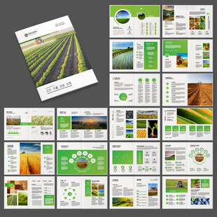 农产品宣传册