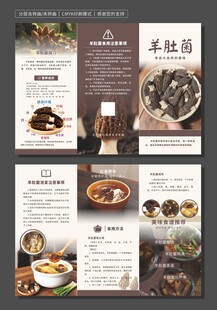 羊肚菌宣传折页设计