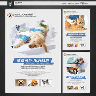 宠物医院海报