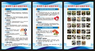 预防毒蘑菇中毒知识展板