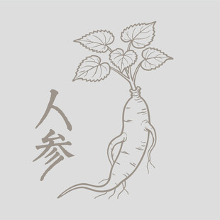 手绘人参图案