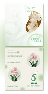 清新护肤宣传对折页设计