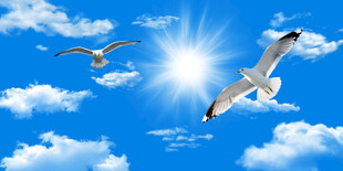 蓝天白云天花软膜