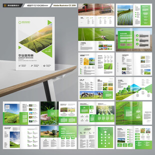 农产品宣传册