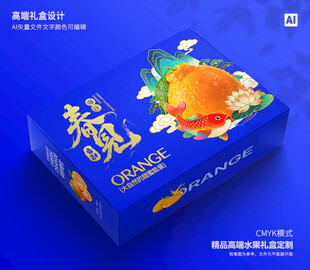 春见礼盒 桔子包装