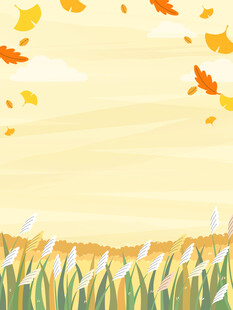 秋天芦苇丛银杏叶飘落自然风景