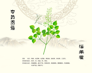 淫羊藿中药淫羊藿