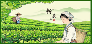 茶园采茶女采茶姑娘